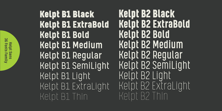 Пример шрифта Kelpt Sans B1 #7